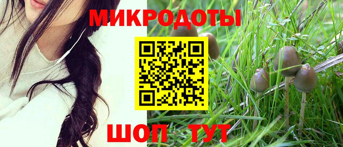 Галлюциногенные грибы Cubensis  Вход с VPN  Выкса 